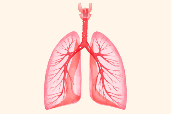 养肺护肺的最好方法 养肺护肺有哪些方法
