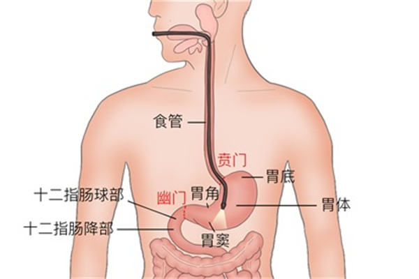 5种人不能吃无花果