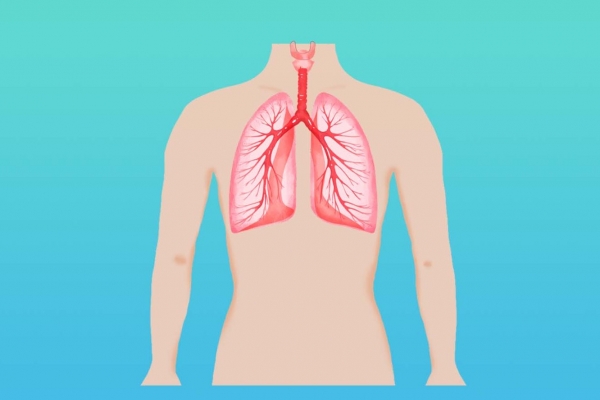 肺部纤维化是什么意思 肺部纤维化的意思