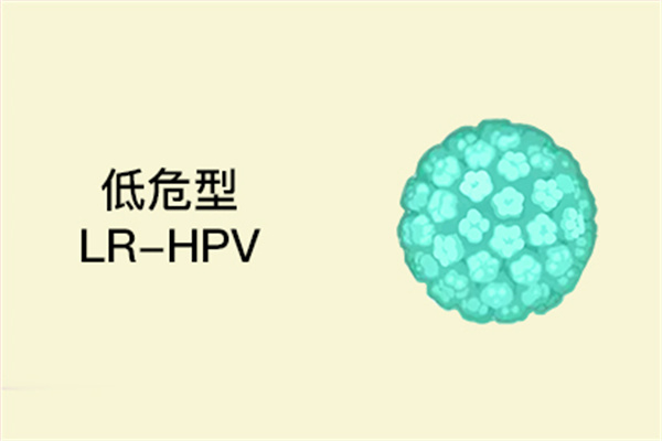 HPV是什么 HPV什么含义