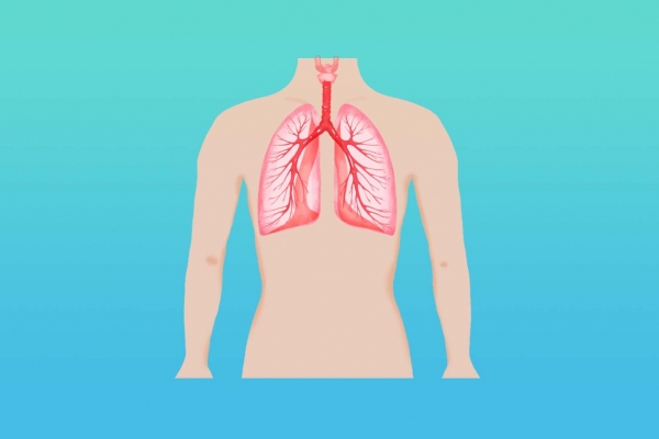 肺结核常见有哪些症状 肺结核有哪些常见表现